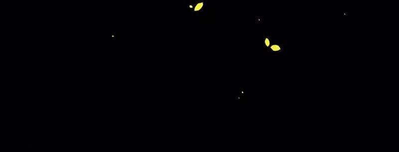 Từ Hôm Nay Bắt Đầu Làm Thành Chủ Chapter 29 - 29