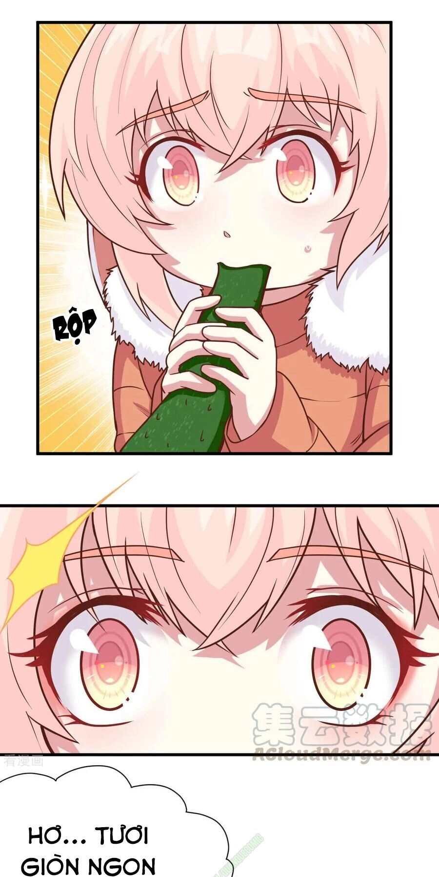 Từ Hôm Nay Bắt Đầu Làm Thành Chủ Chapter 102.2 - 15