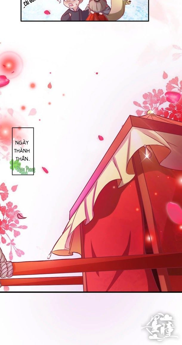 Cưng Chiều Đào Phi Chapter 1 - 7