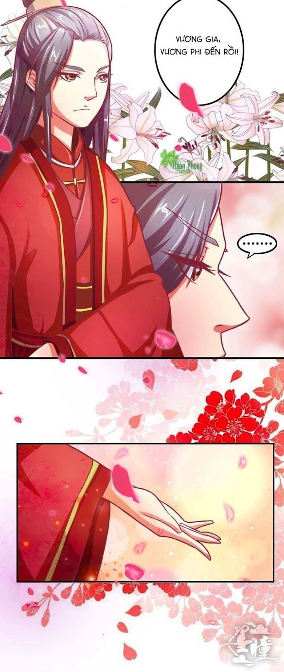 Cưng Chiều Đào Phi Chapter 1 - 10