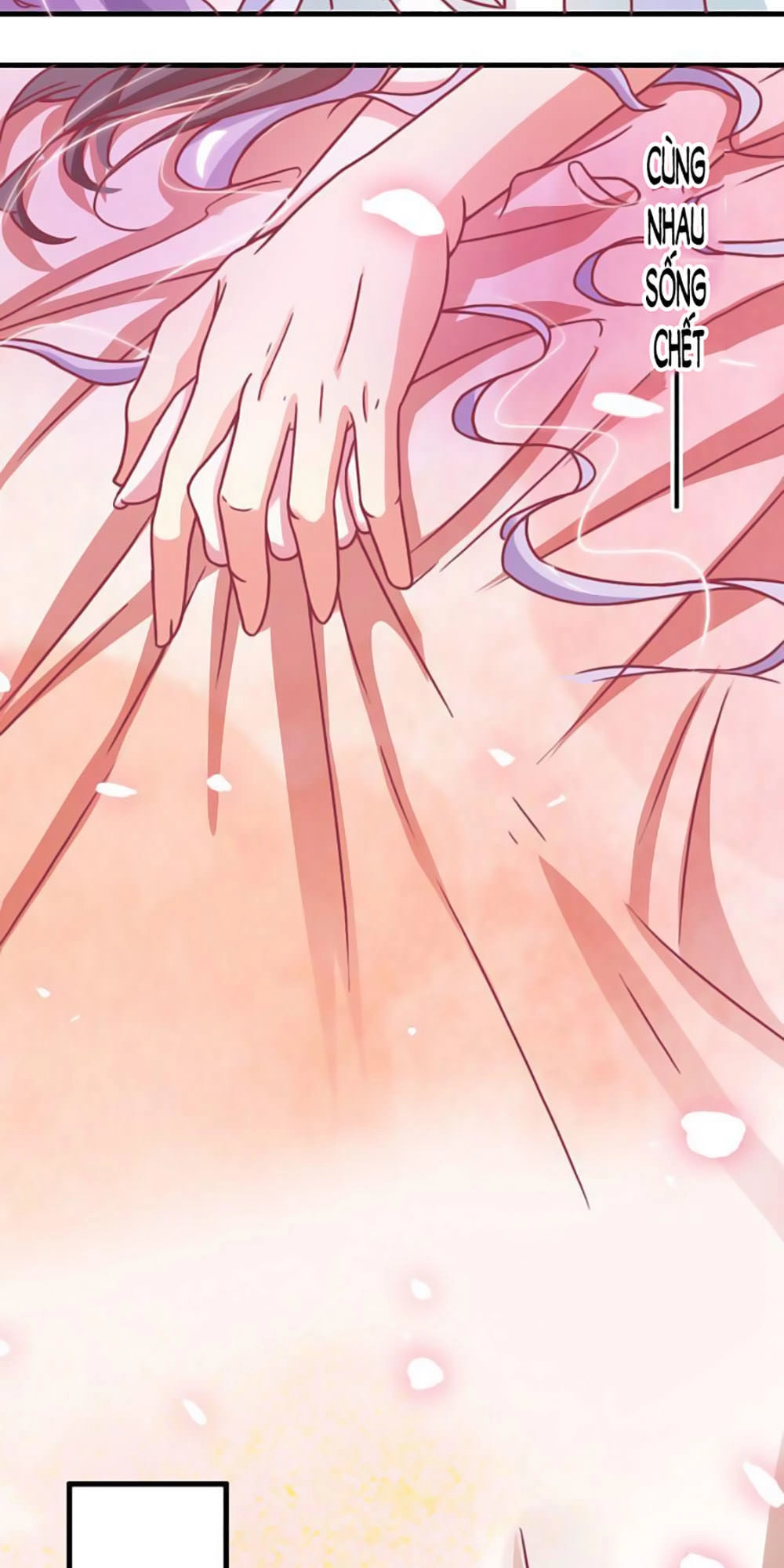 Cưng Chiều Đào Phi Chapter 15 - 19