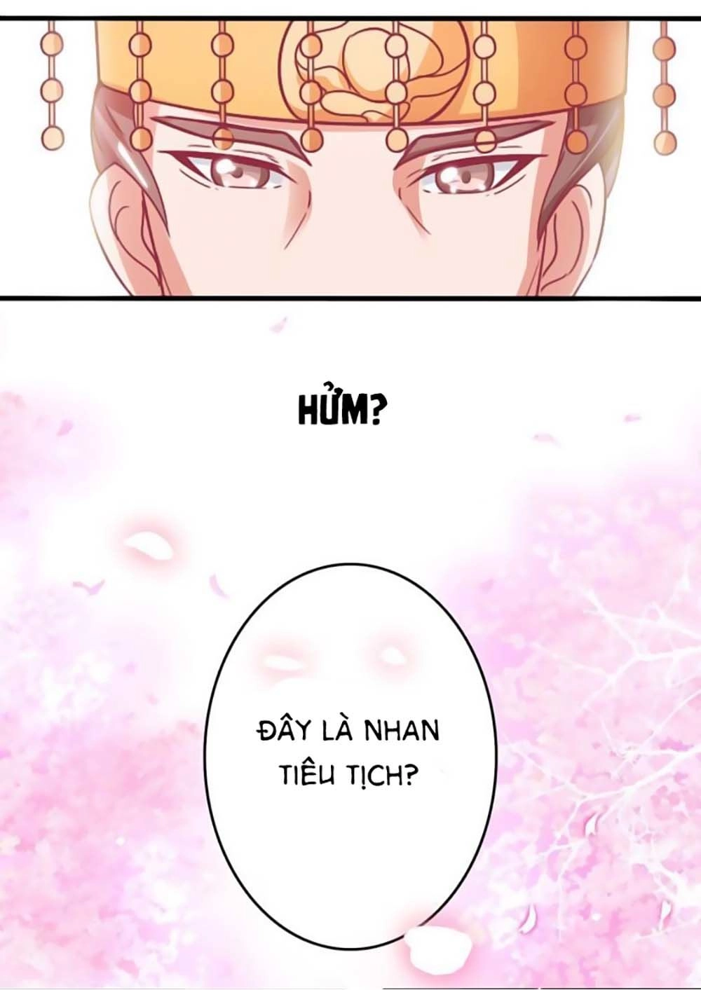 Cưng Chiều Đào Phi Chapter 17 - 19