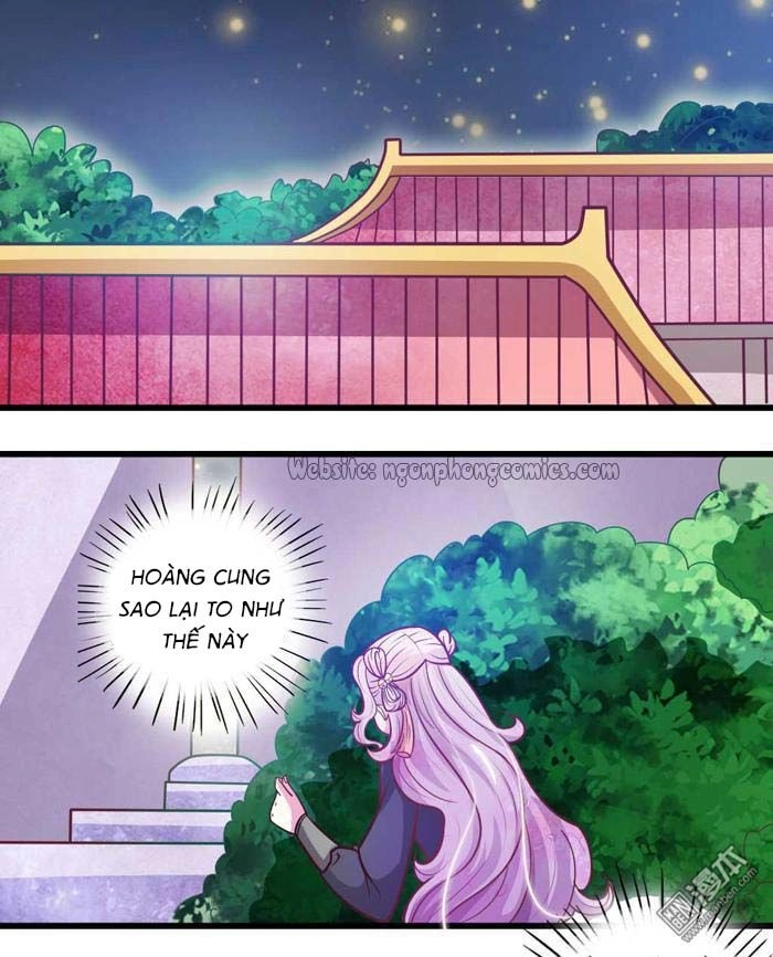 Cưng Chiều Đào Phi Chapter 33 - 1