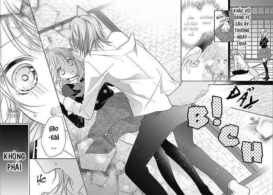 Ma Cà Rồng Và Thiếu Nữ Hoa Hồng Chapter 9 - 24