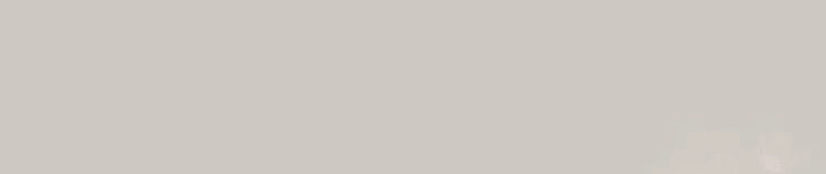 Đứng Yên! Đều Là Người Nhà Cả Mà! Chapter 10 - 66