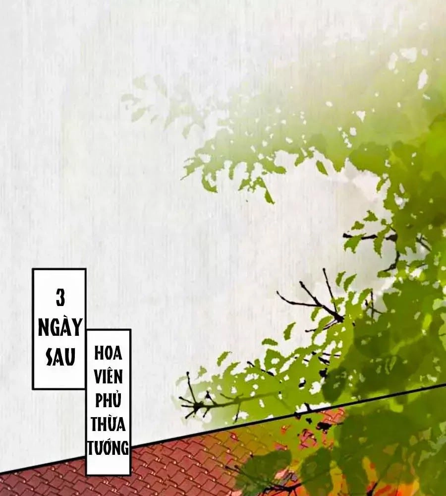 Hoạn Phi Hoàn Triều Chapter 23 - 41