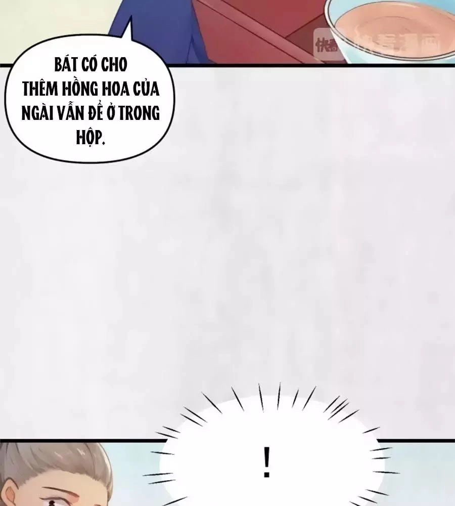 Hoạn Phi Hoàn Triều Chapter 33 - 14