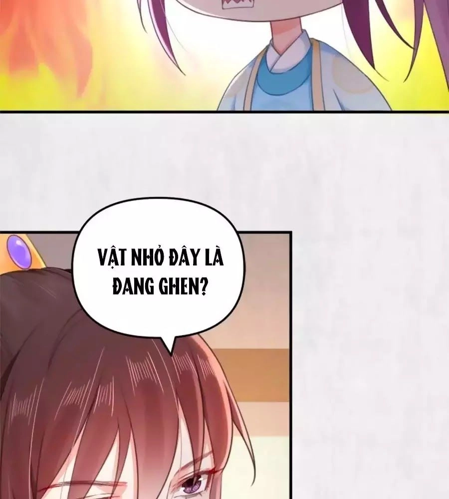 Hoạn Phi Hoàn Triều Chapter 37 - 39