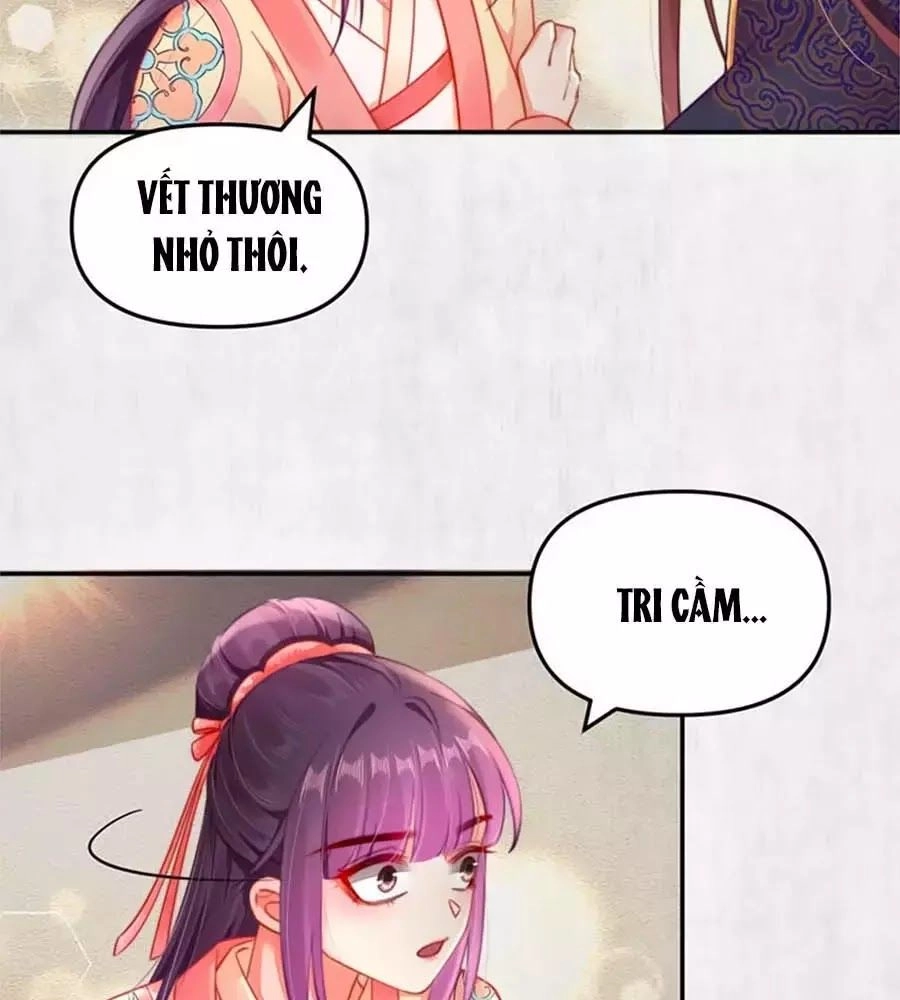 Hoạn Phi Hoàn Triều Chapter 44 - 53