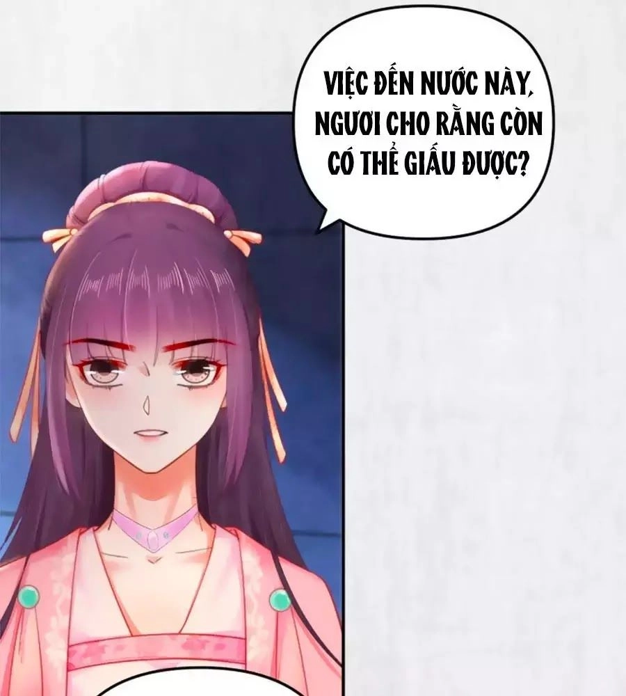 Hoạn Phi Hoàn Triều Chapter 48 - 3