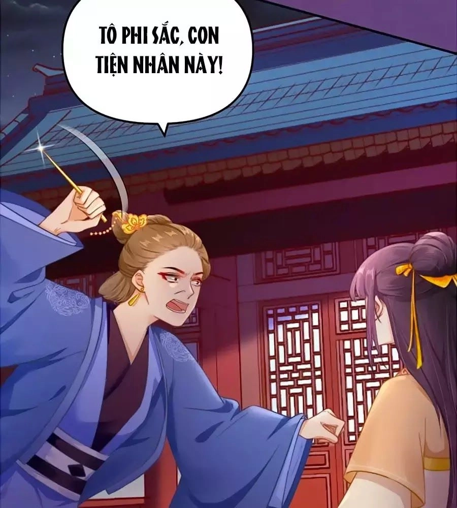 Hoạn Phi Hoàn Triều Chapter 49 - 56