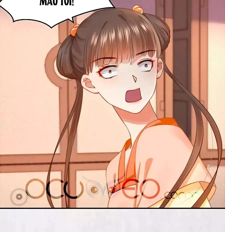 Hoạn Phi Hoàn Triều Chapter 61 - 9