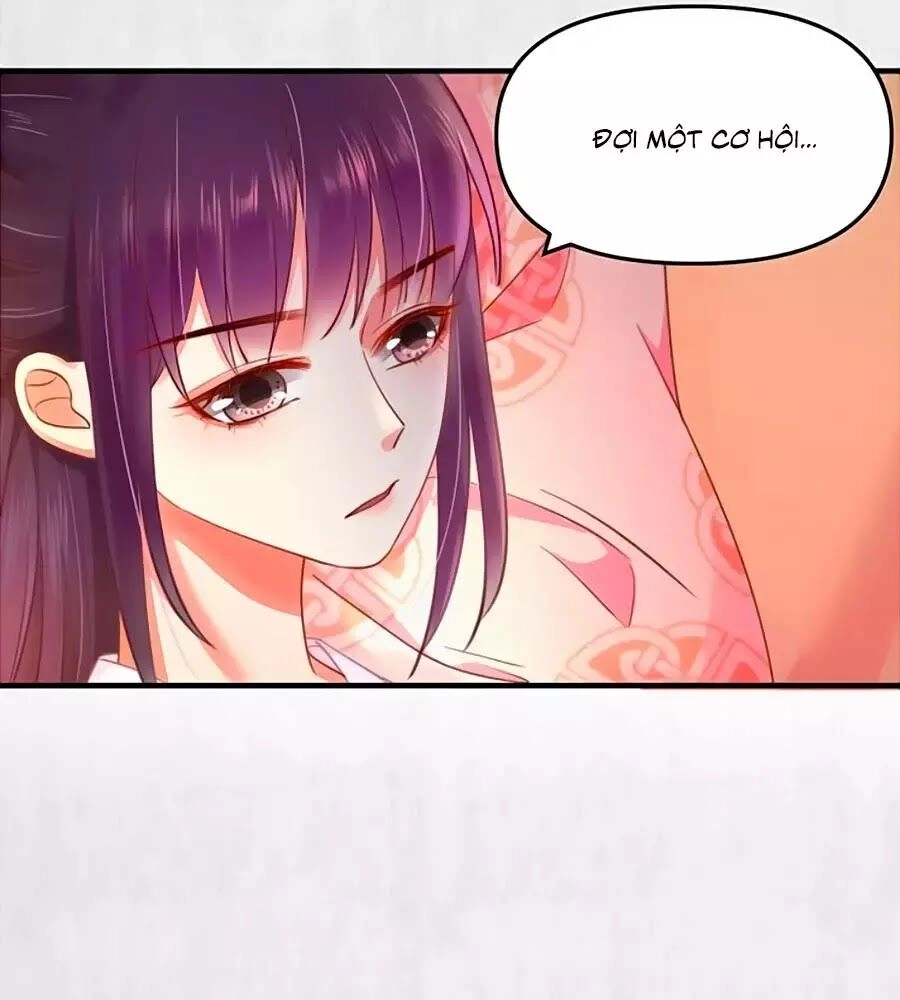 Hoạn Phi Hoàn Triều Chapter 61 - 52