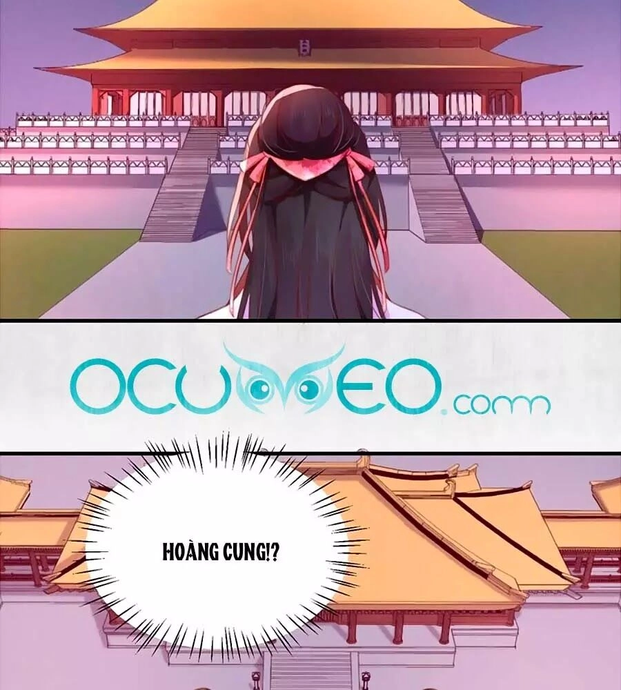 Hoạn Phi Hoàn Triều Chapter 88 - 25