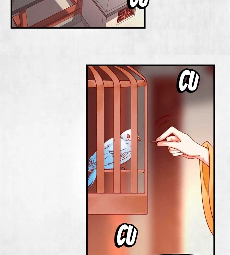 Hoạn Phi Hoàn Triều Chapter 92 - 47