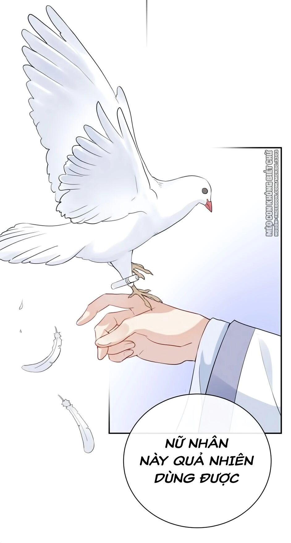 Kính Hoa Thương Chapter 27 - 33