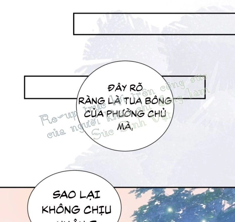 Kính Hoa Thương Chapter 50 - 63