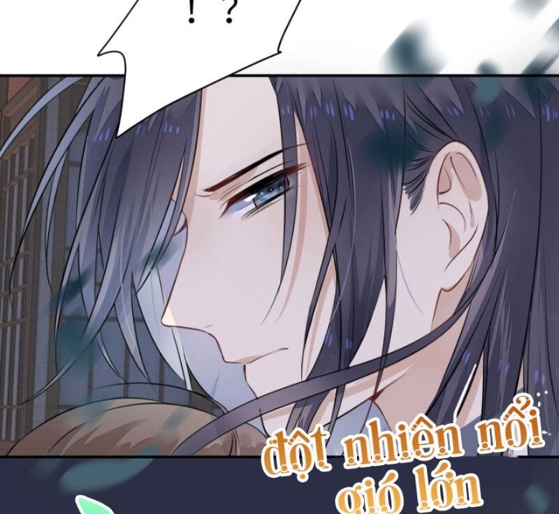 Kính Hoa Thương Chapter 56 - 56