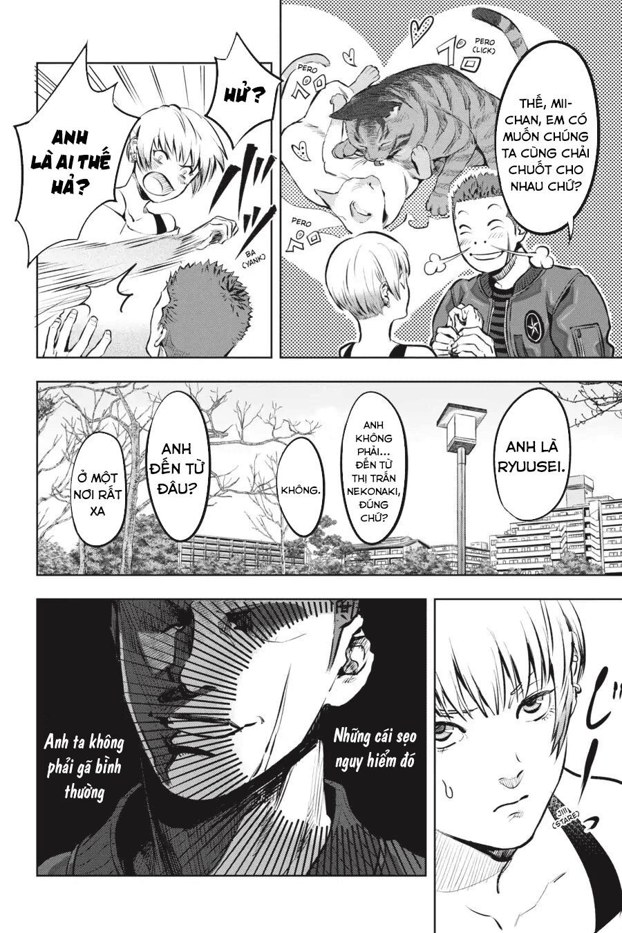 Nyankees Chapter 1 - 17