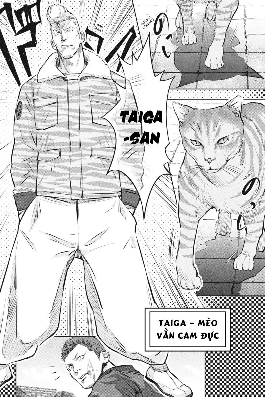 Nyankees Chapter 1 - 29