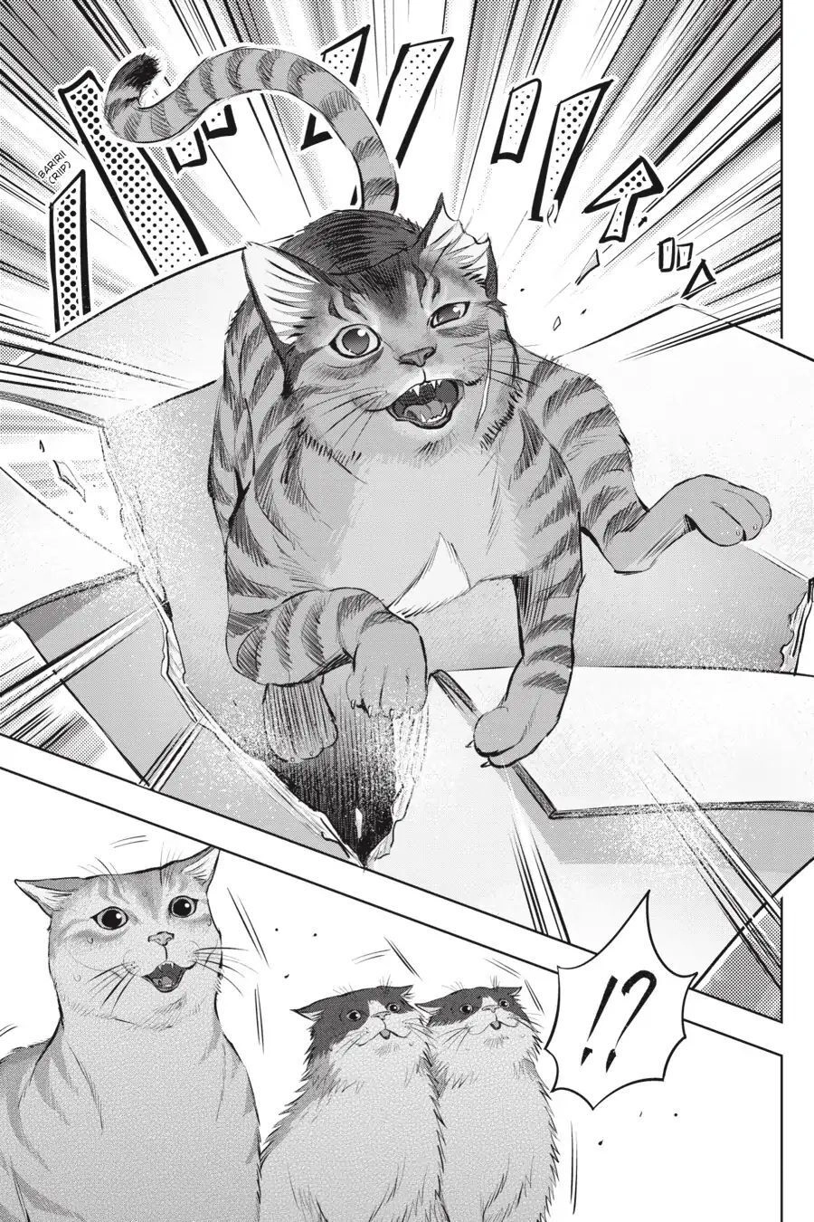 Nyankees Chapter 3 - 24