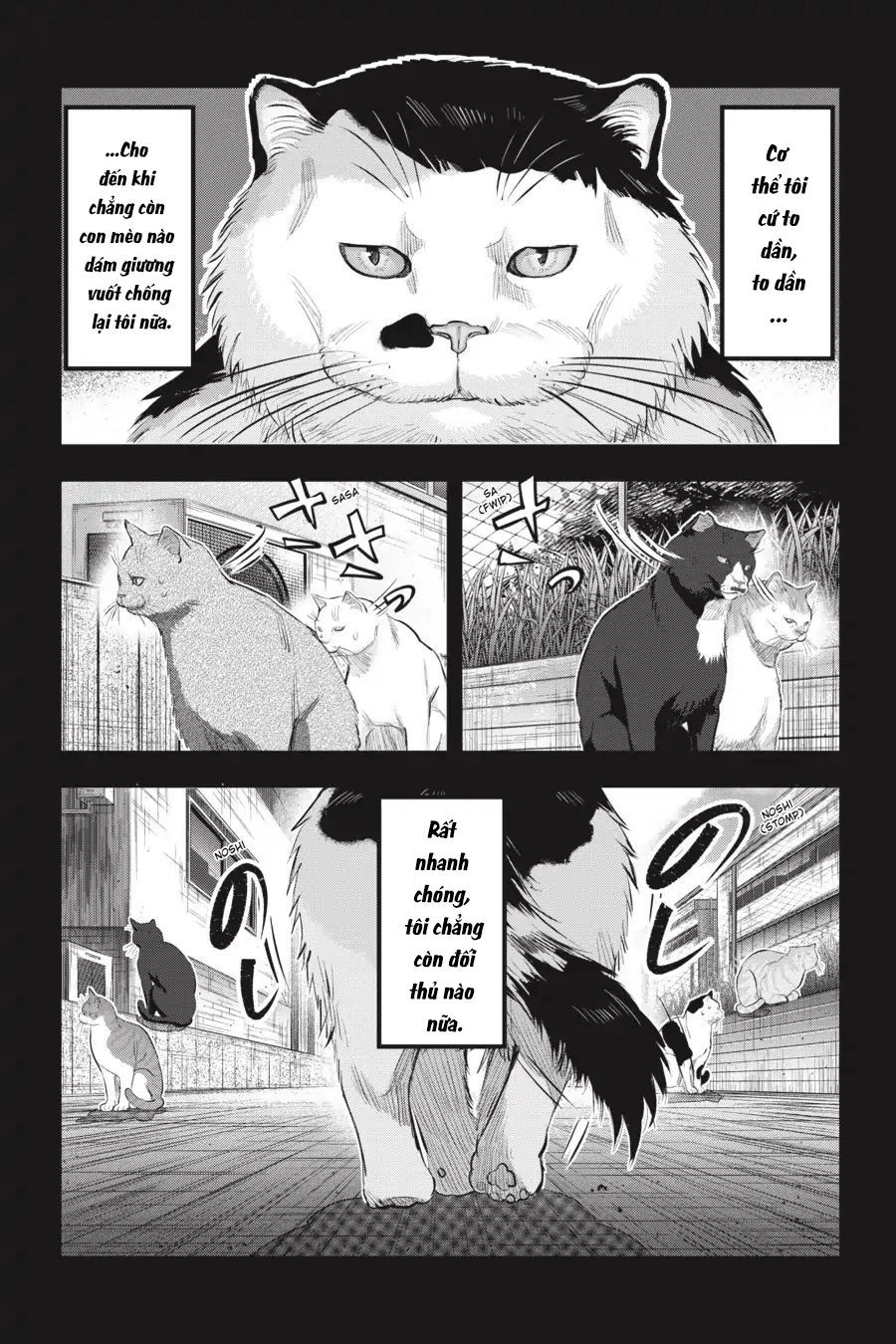 Nyankees Chapter 7 - 7
