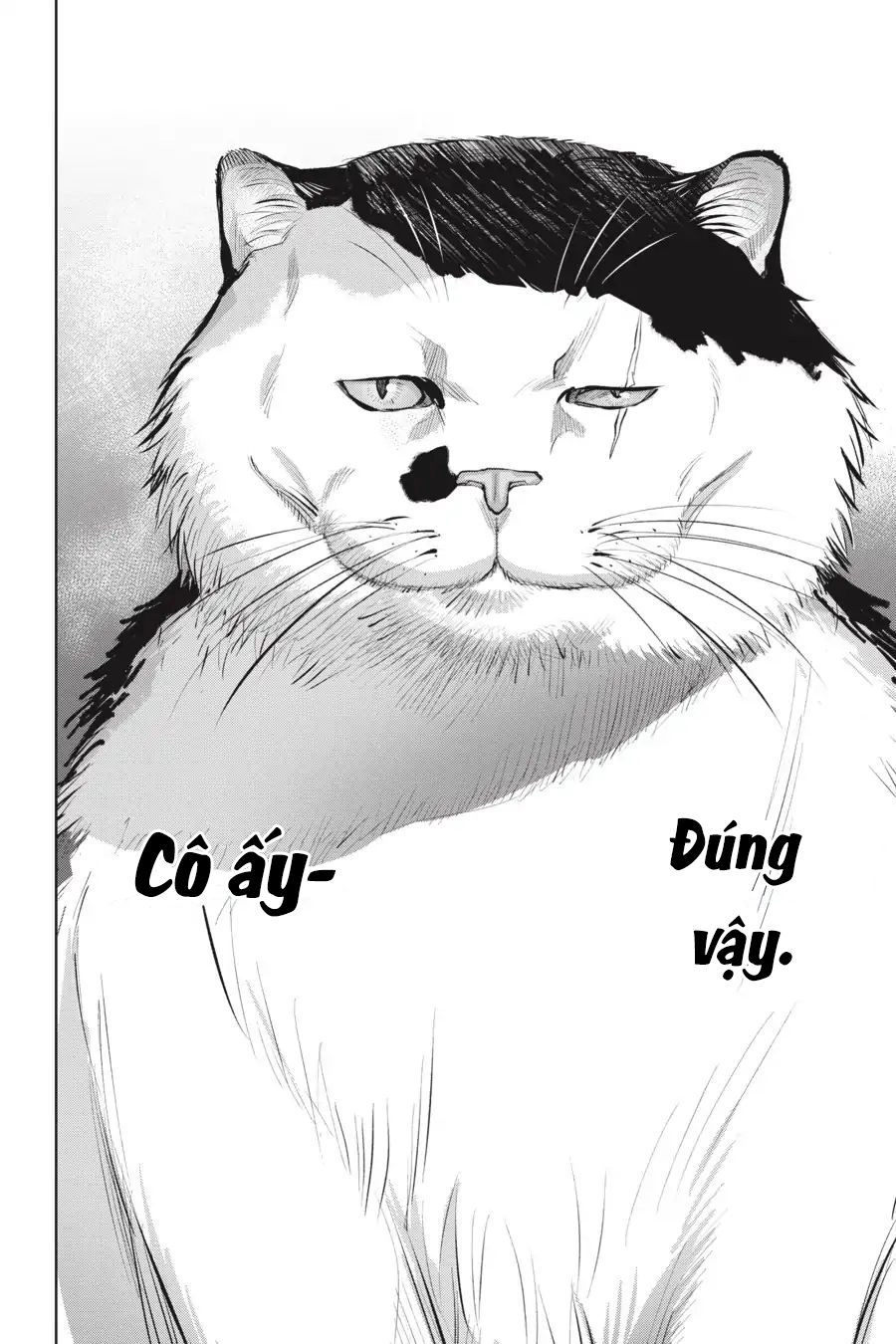 Nyankees Chapter 7 - 18