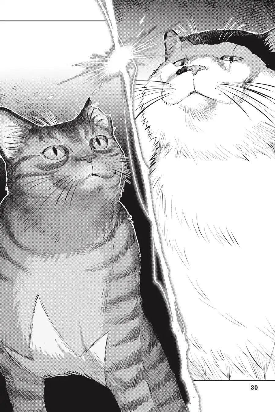 Nyankees Chapter 7 - 32