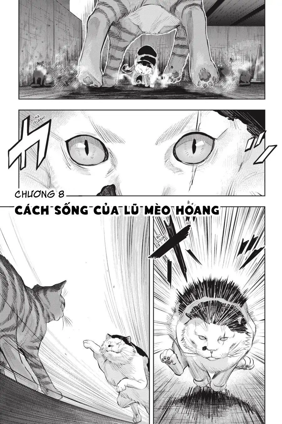 Nyankees Chapter 8 - 5