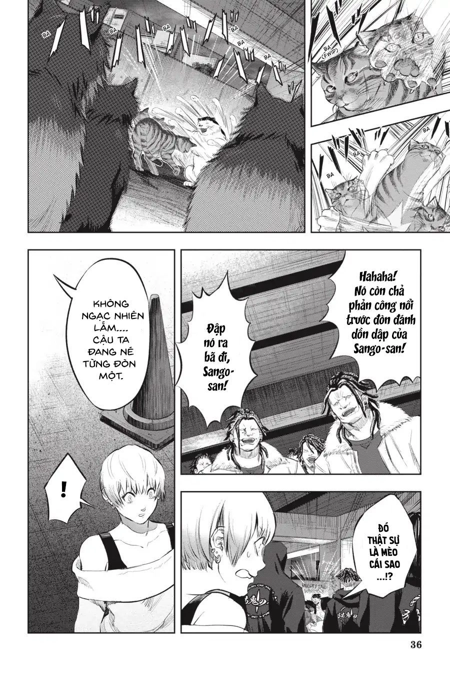 Nyankees Chapter 8 - 8