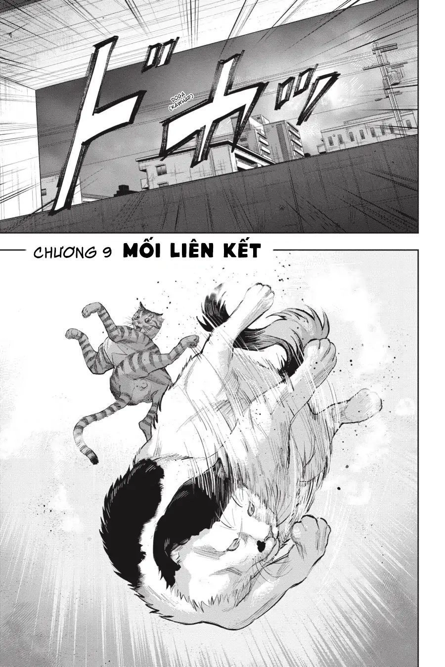 Nyankees Chapter 9 - 5