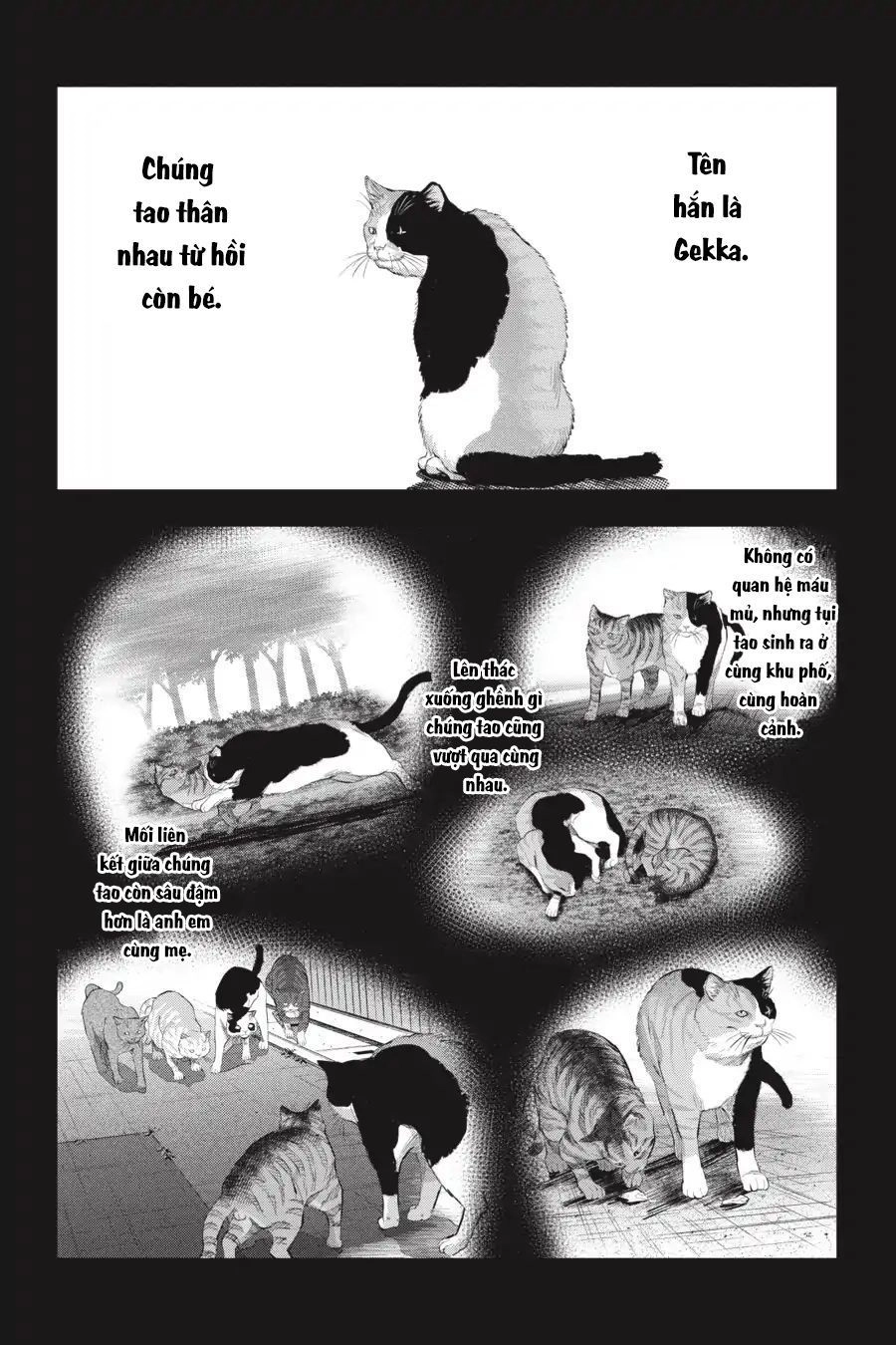 Nyankees Chapter 9 - 25