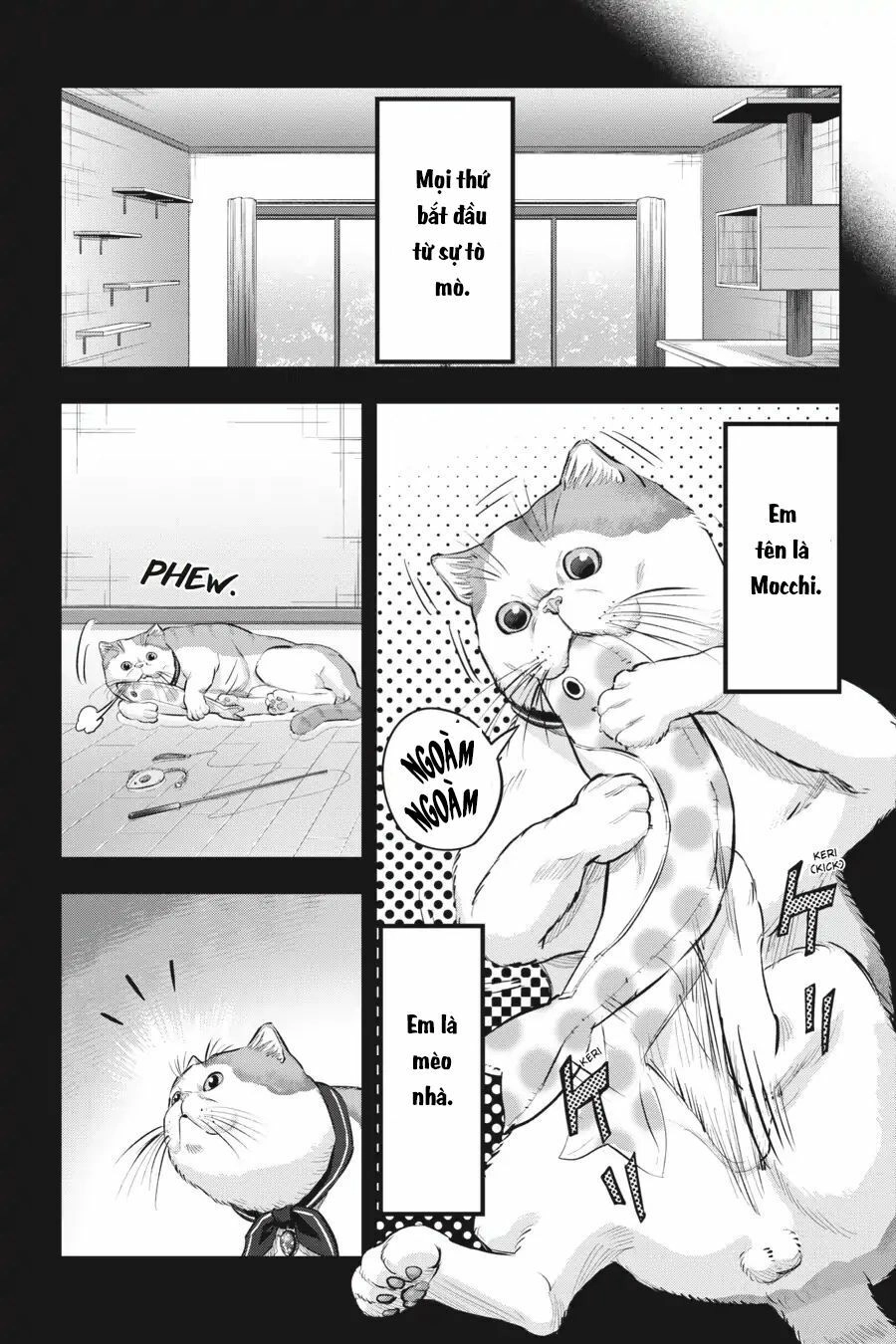 Nyankees Chapter 10 - 13
