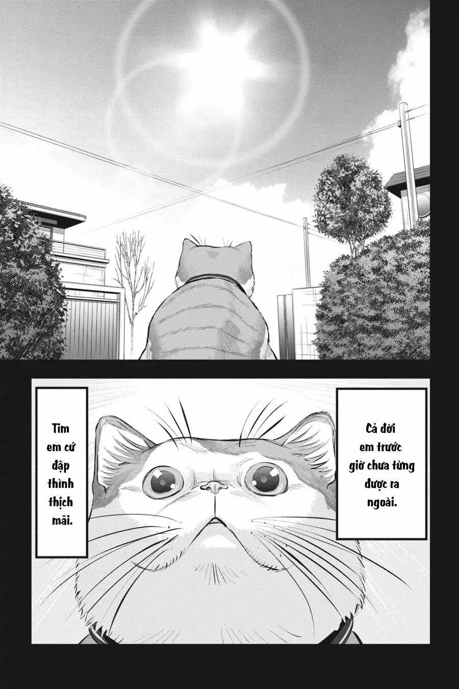 Nyankees Chapter 10 - 15