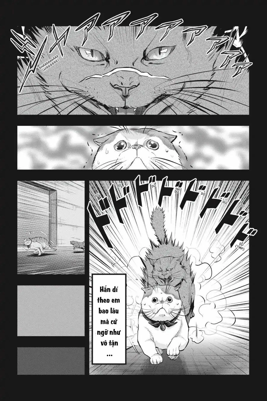 Nyankees Chapter 10 - 18