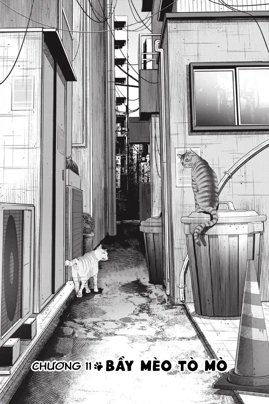 Nyankees Chapter 11 - 2