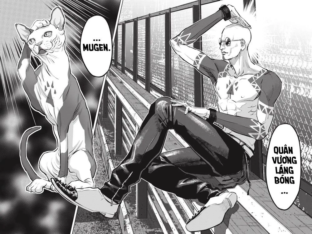 Nyankees Chapter 11 - 26