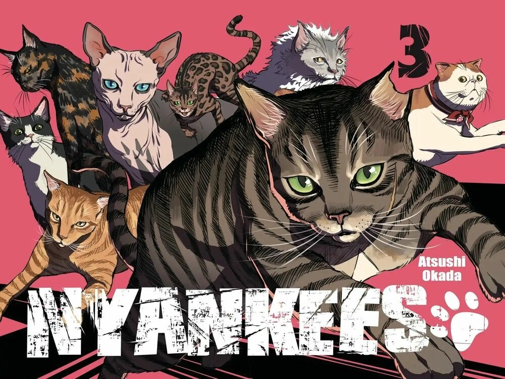 Nyankees Chapter 12 - 6
