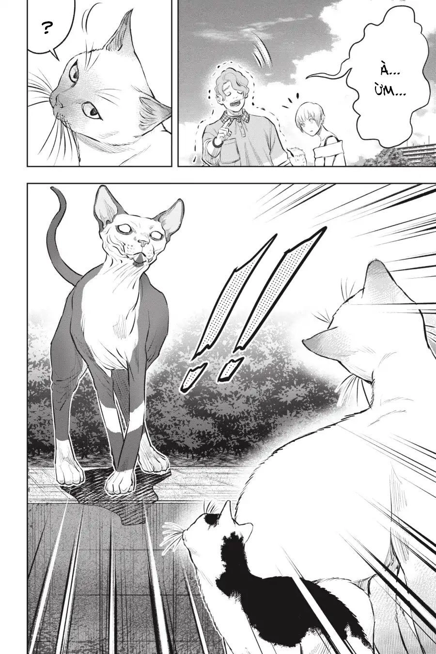 Nyankees Chapter 12 - 35