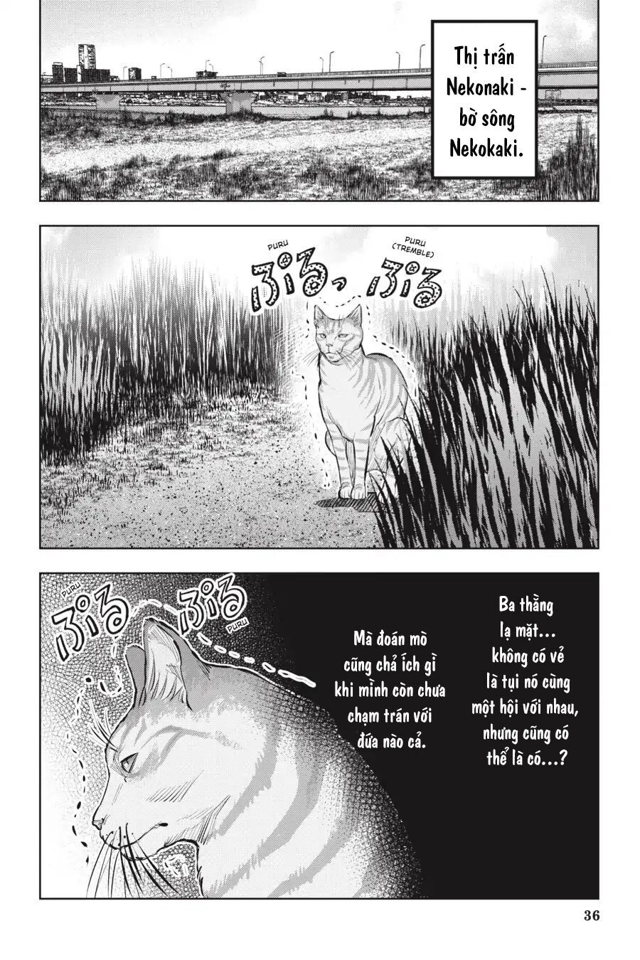 Nyankees Chapter 12 - 39