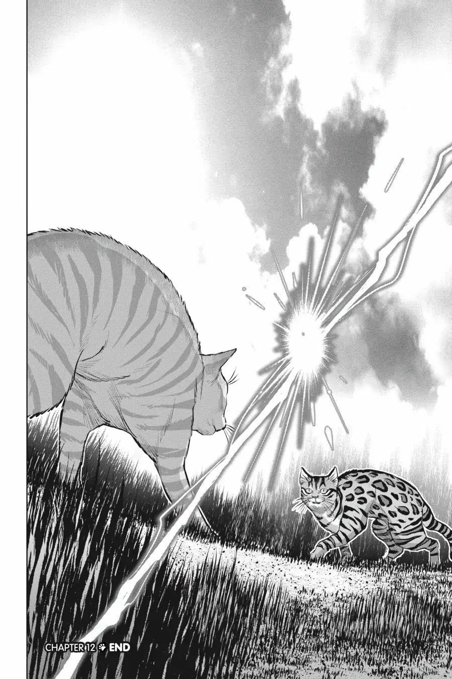 Nyankees Chapter 12 - 43