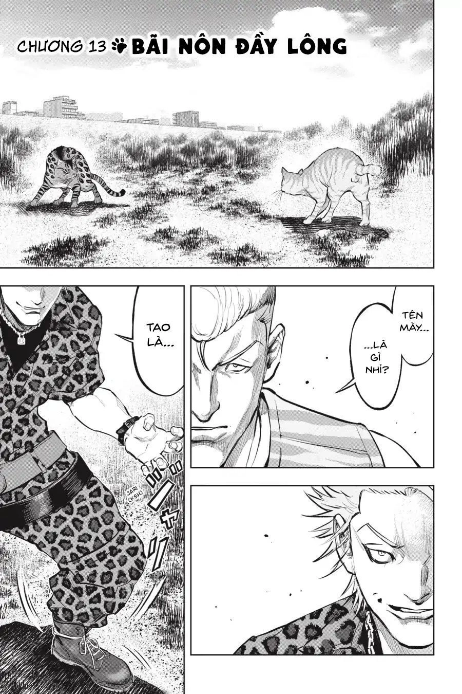 Nyankees Chapter 13 - 2