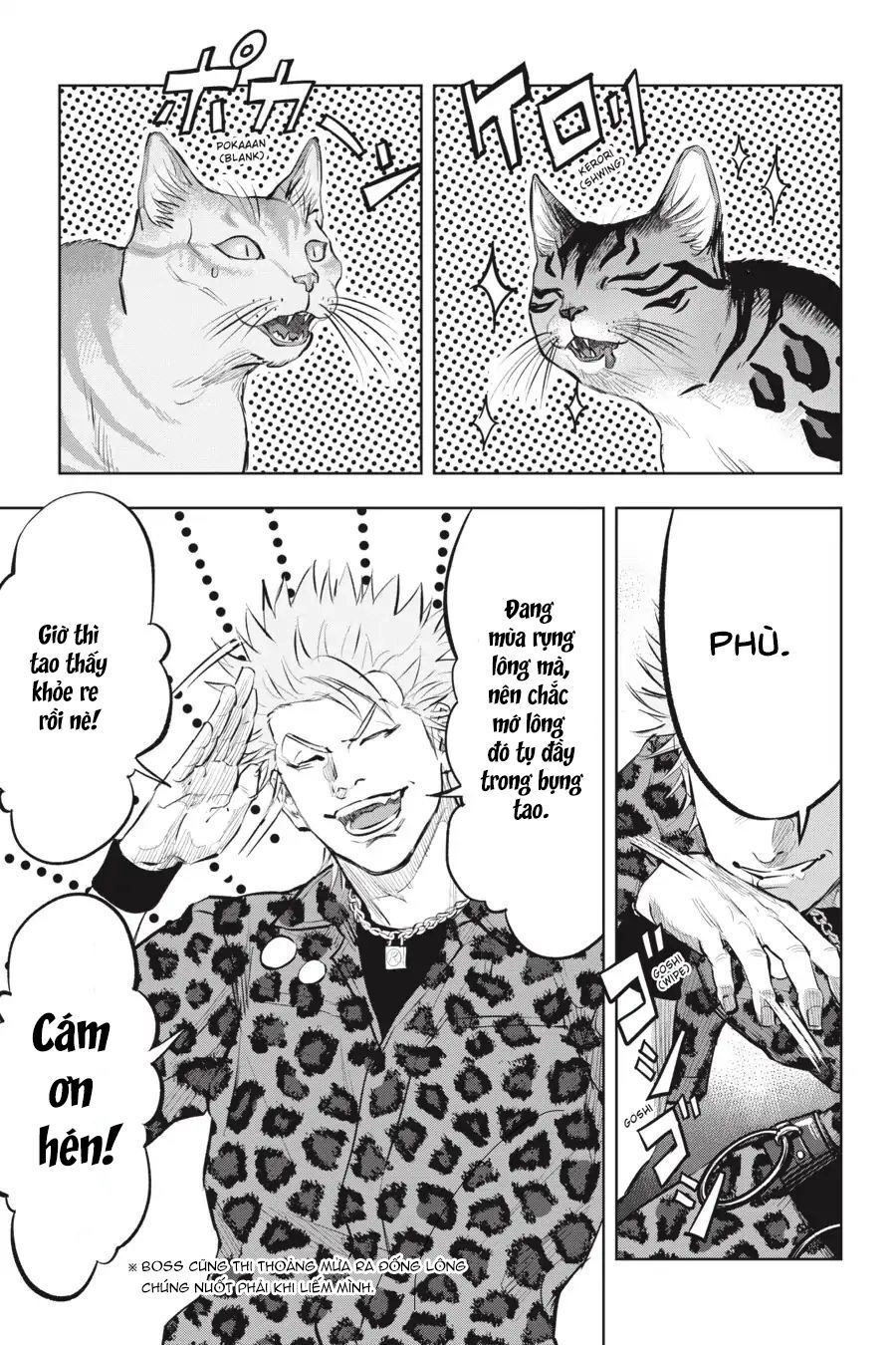 Nyankees Chapter 13 - 18