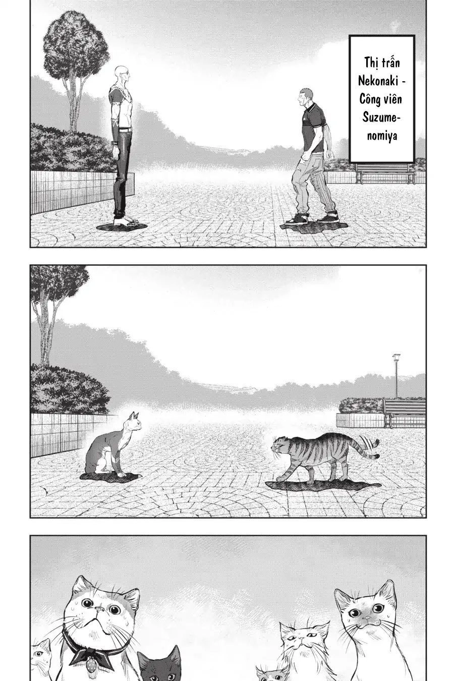 Nyankees Chapter 13 - 24