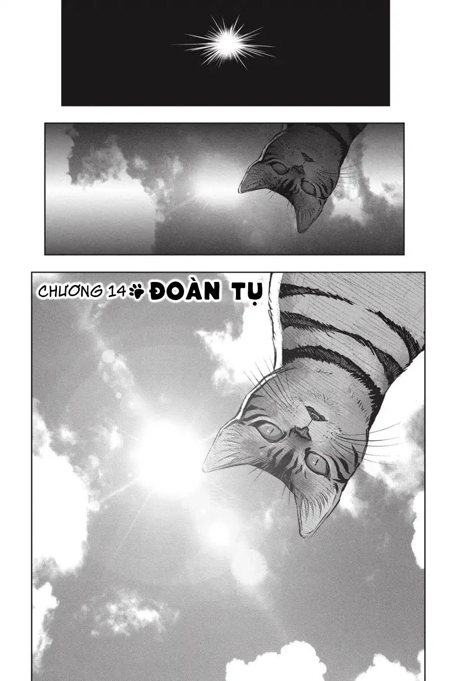 Nyankees Chapter 14 - 2