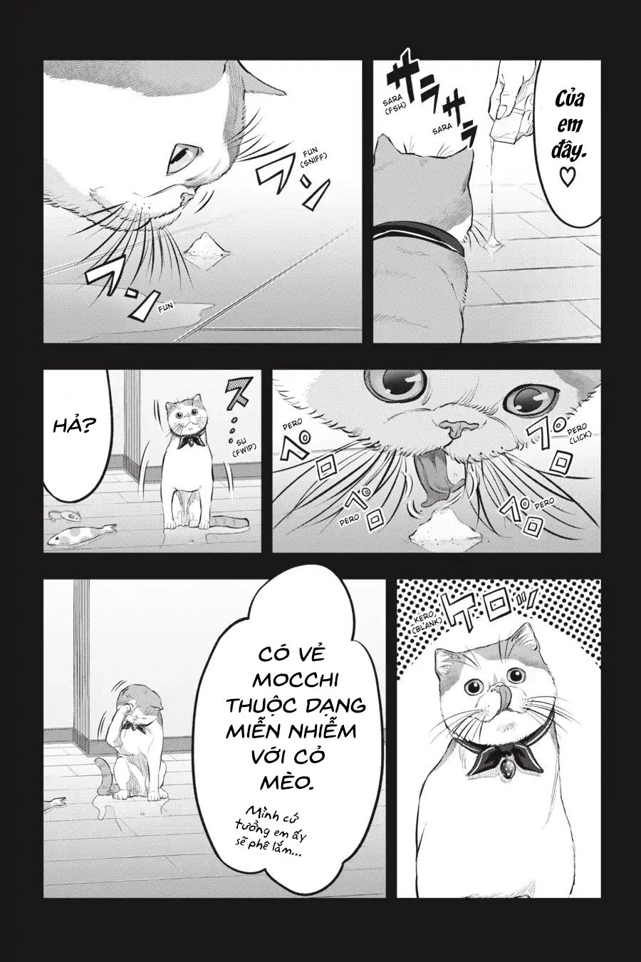 Nyankees Chapter 14 - 20