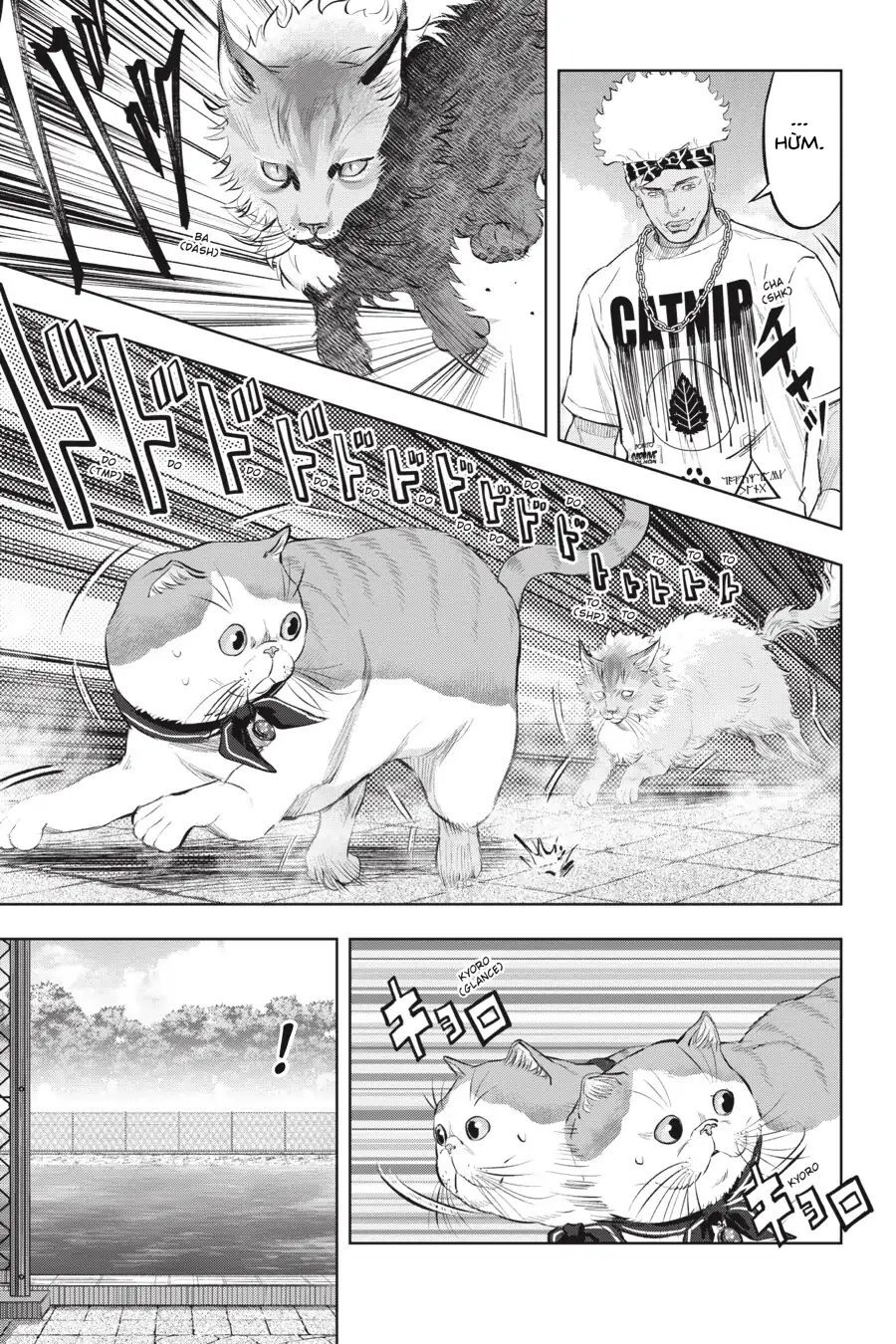 Nyankees Chapter 14 - 28