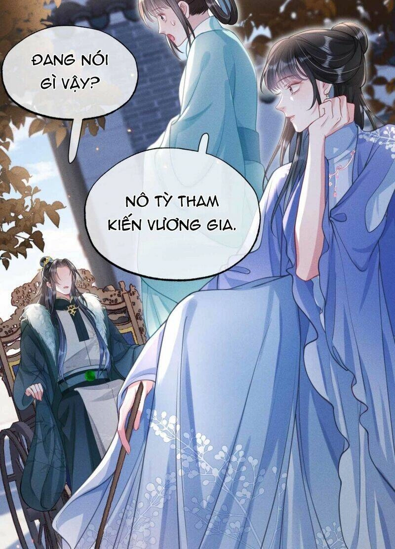 Xuyên Không Về Gả Cho Vương Gia Ốm Yếu Chapter 20 - 12