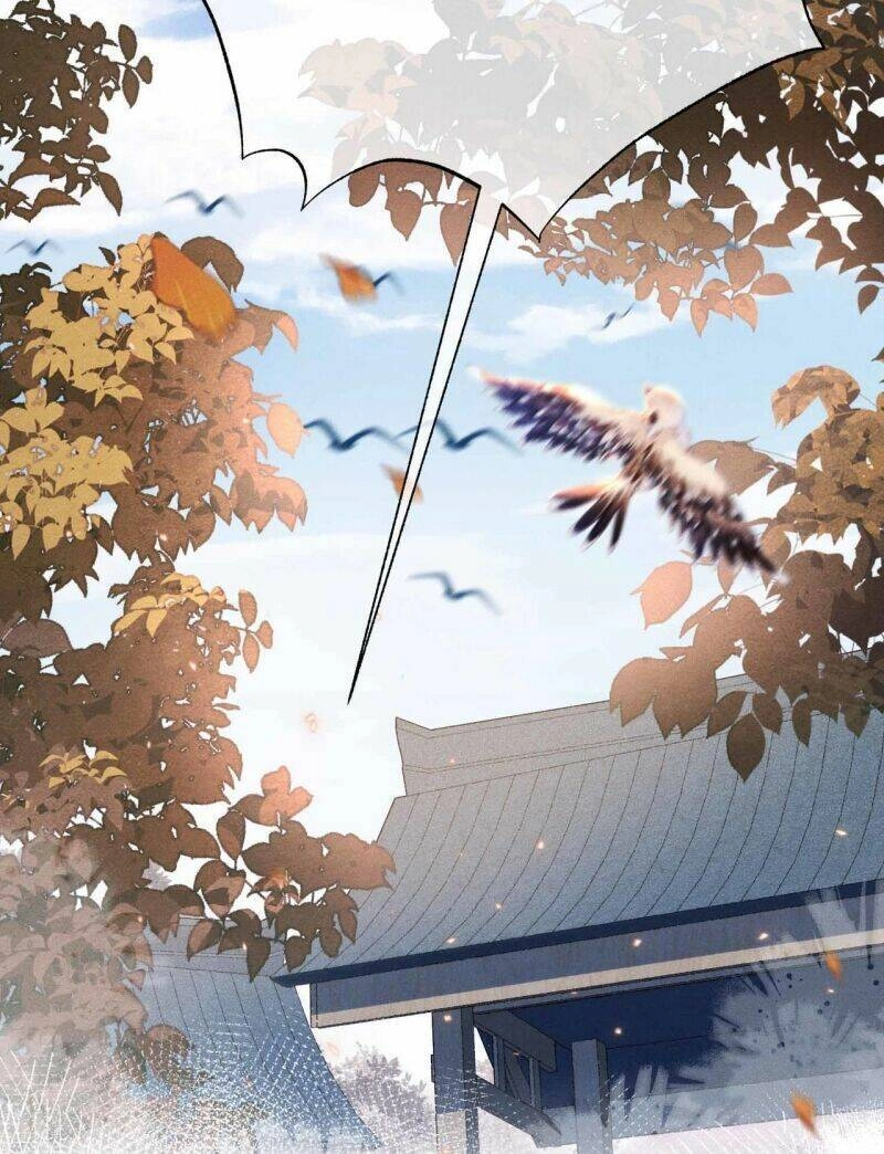 Xuyên Không Về Gả Cho Vương Gia Ốm Yếu Chapter 20 - 30