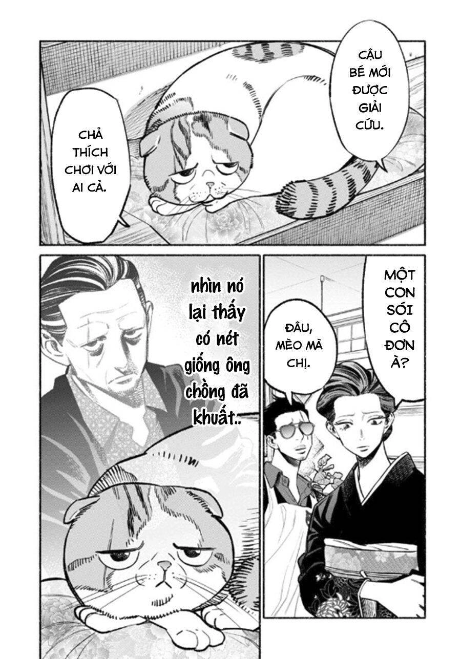 Ông Chồng Yakuza Nội Trợ Chapter 55 - 11